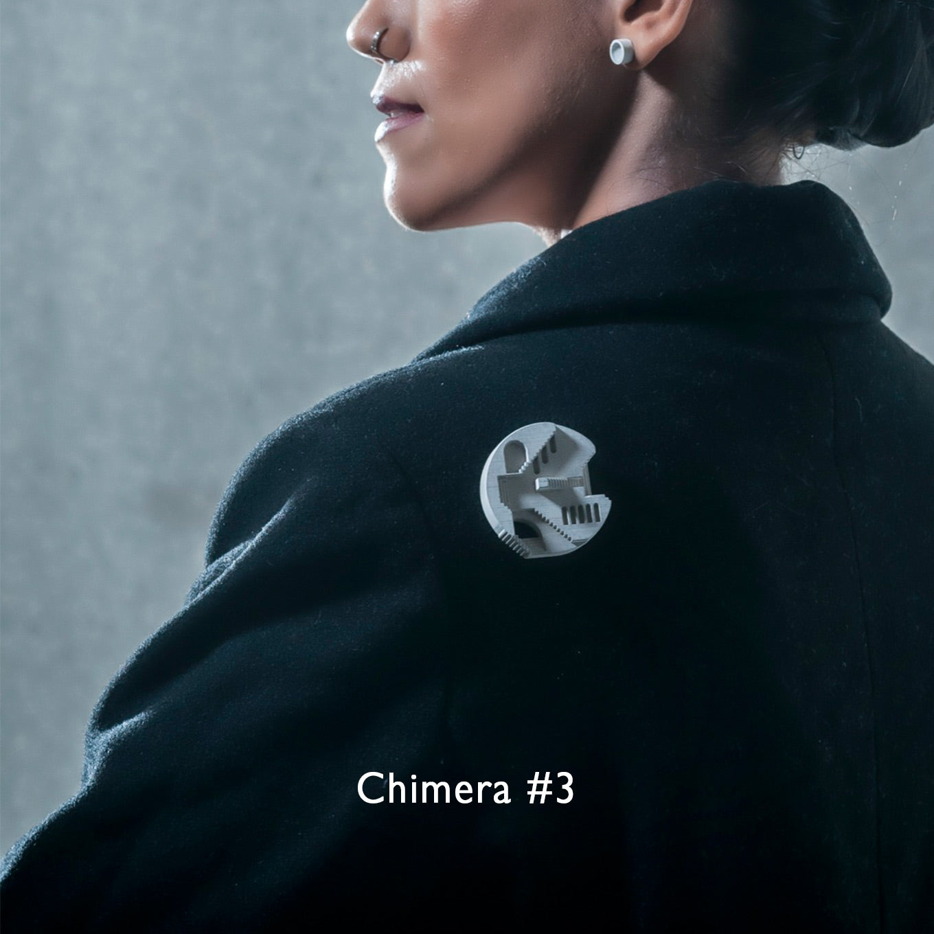 
                  
                    Chimera
                  
                