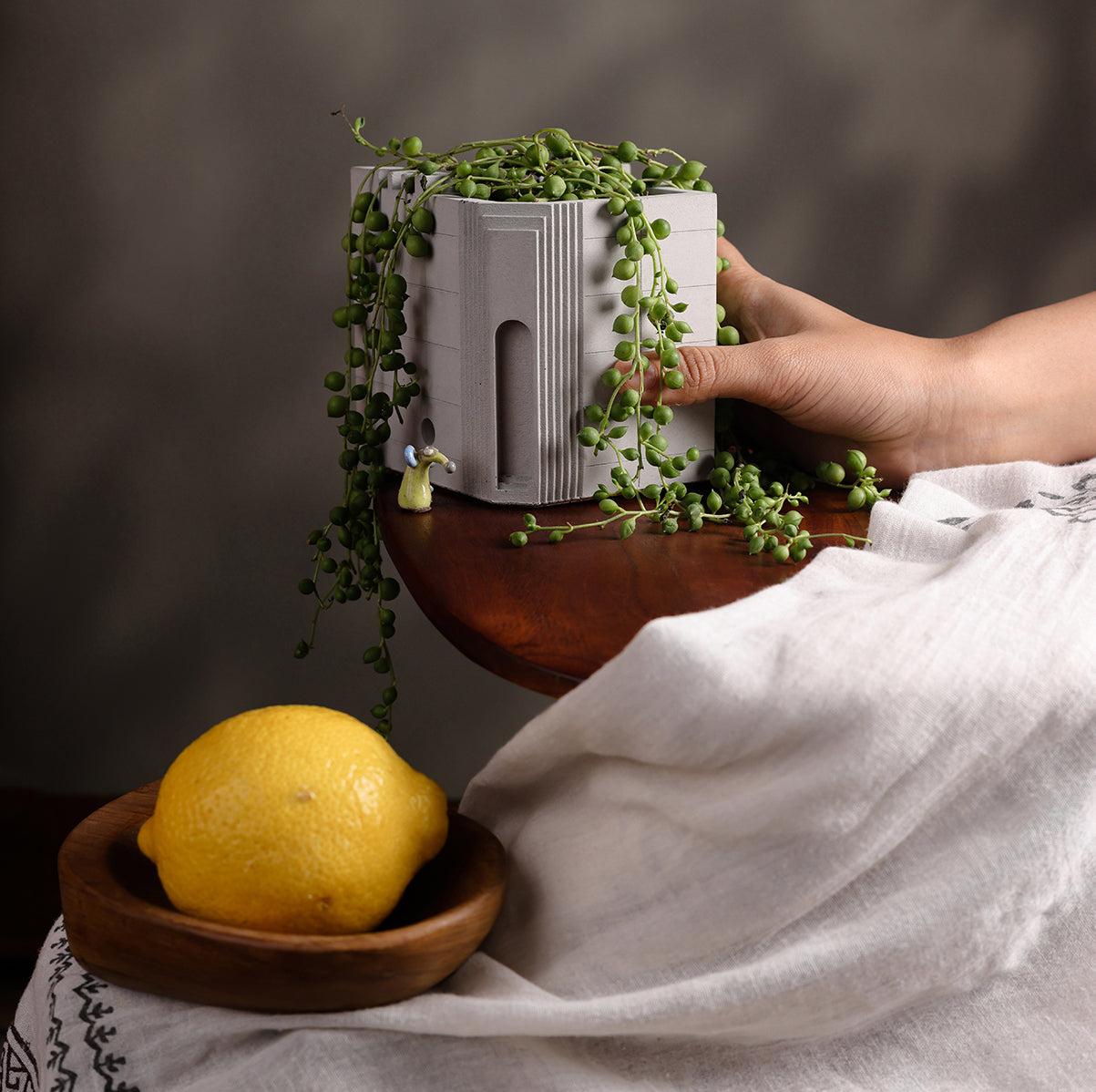 
                  
                    Bruterra – Architectural Concrete Planters Collection Brutalist Home Décor Objects for Modern Minimal Spaces - Material Immaterial studio
                  
                