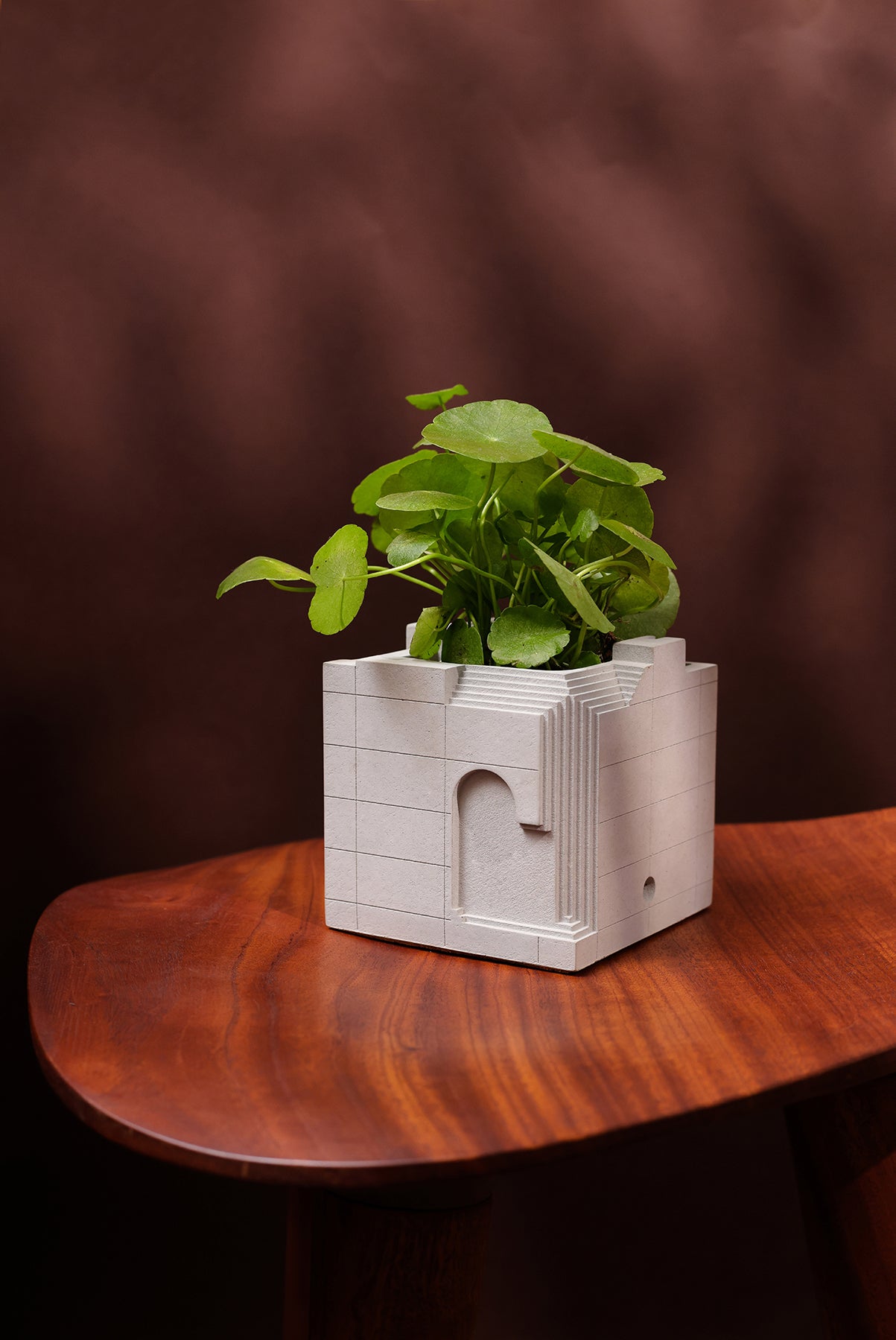 
                  
                    Bruterra – Architectural Concrete Planters Collection Brutalist Home Décor Objects for Modern Minimal Spaces - Material Immaterial studio
                  
                