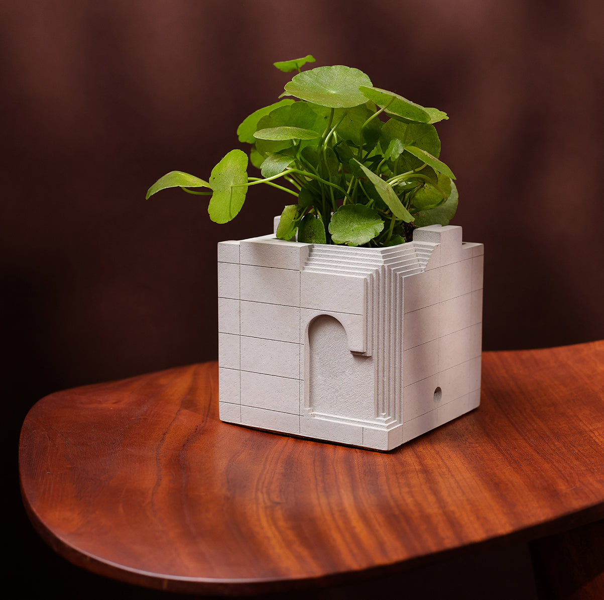 
                  
                    Bruterra – Architectural Concrete Planters Collection Brutalist Home Décor Objects for Modern Minimal Spaces - Material Immaterial studio
                  
                
